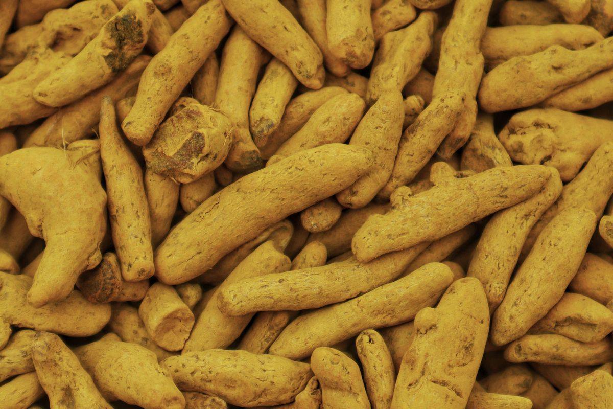 Turmeric and Ayurvedic herbs used in the treatment of hypothyroidism