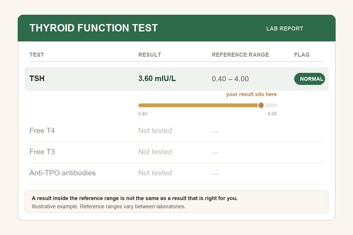 Thyroid function test report showing a TSH of 3.60 flagged as normal, sitting at the top edge of the reference range, while Free T4, Free T3 and anti-TPO antibodies were never tested