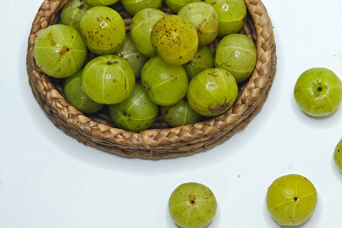 Fresh Amla (Indian gooseberry) fruits in a basket